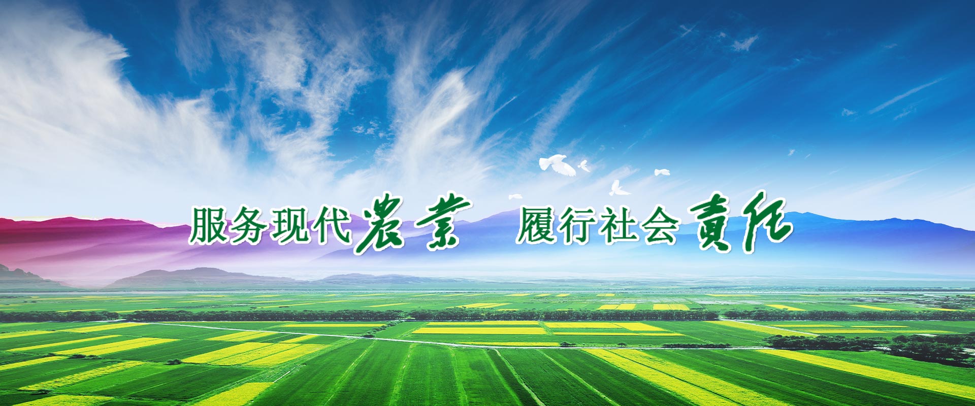 bob电竞在线