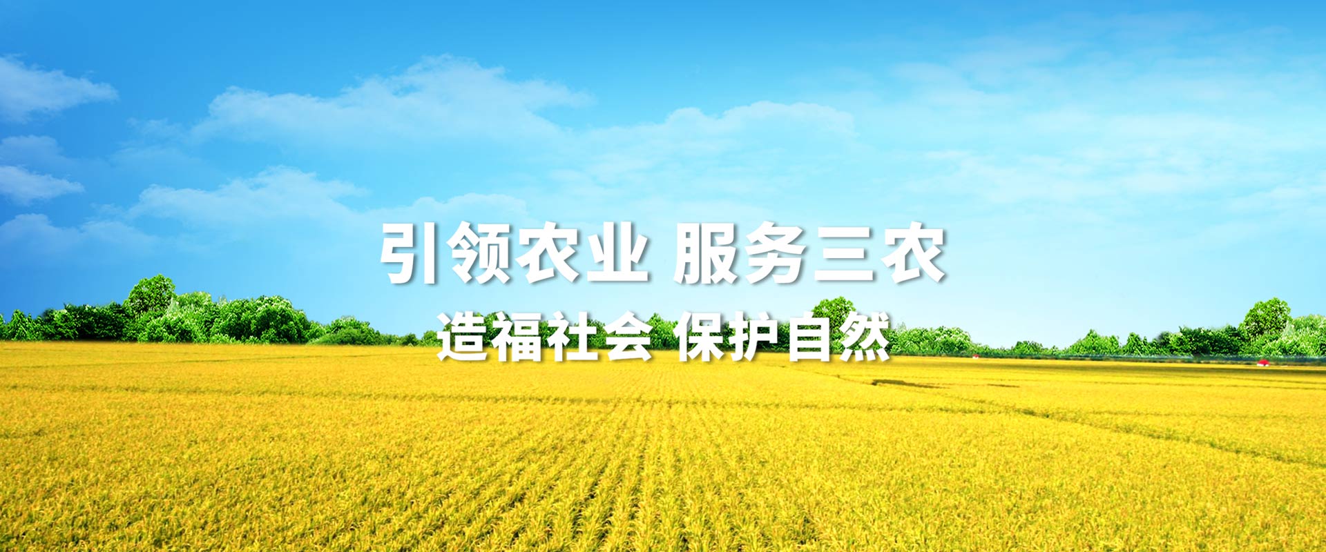 bob手机版网页